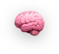 Equilibrain Icon